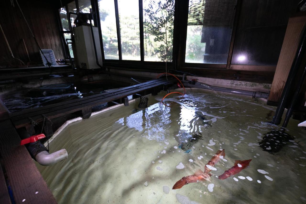 水野旅館 唐津市 エクステリア 写真